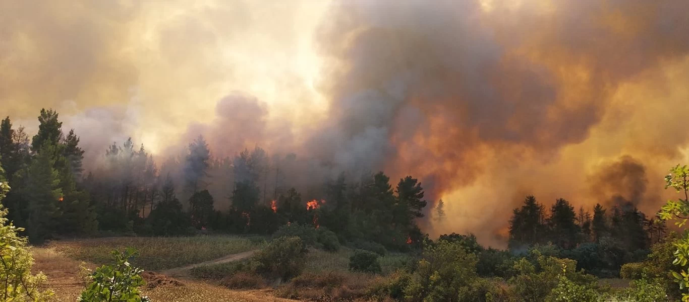 Προσήχθη ο οδηγός που είναι ύποπτος για εμπρησμό στην Αρχαία Ολυμπία